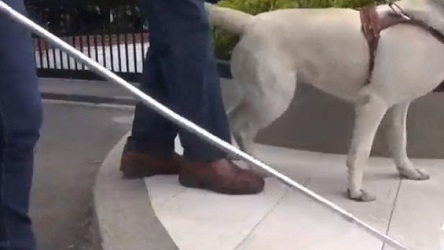 Una personas ciega va con bastón y acompañado de su perro guía